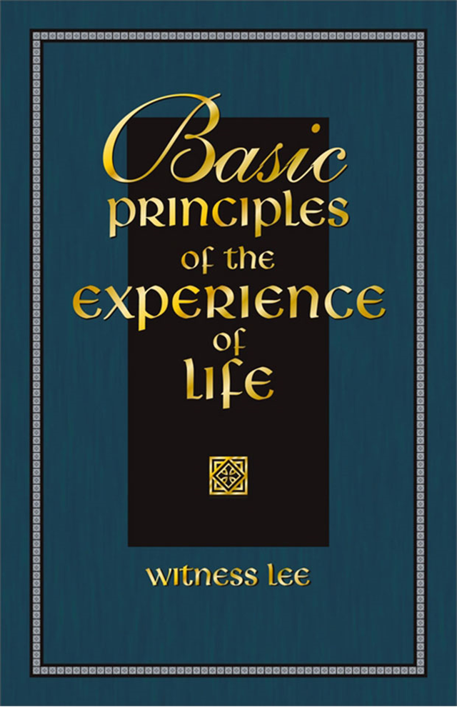 Basic Principles of the Experience of Life