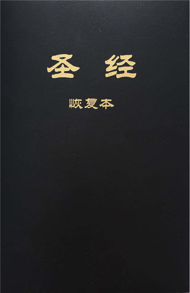 Holy Bible Recovery Version, Chinese, Simplified (Text only)