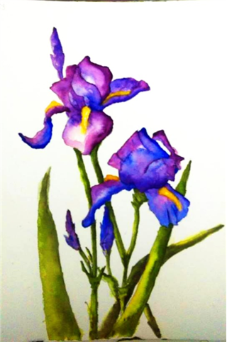 Water Colours with Jude Harrington