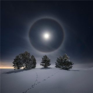 Ruth Poultney Presents: Merry Midwinter