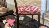 Upholstery for Beginners