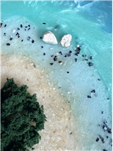 Tropical Island Resin Art Work