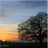 Photography for Holidays