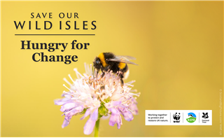 Hungry for Change – the impact of the food system on nature in the UK