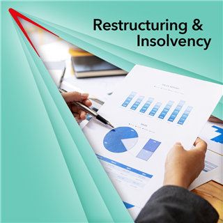  Restructuring & Insolvency Conference 2025