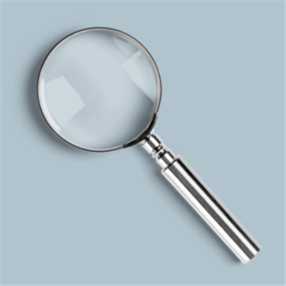 Audit monitoring insights 2025