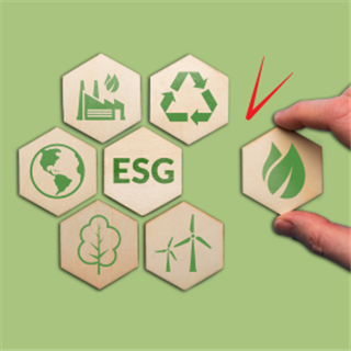 ICAEW London and South East: ESG insight group | 2026