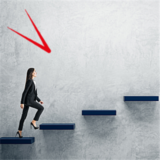 Europe: Bigger Picture -  Transitioning careers