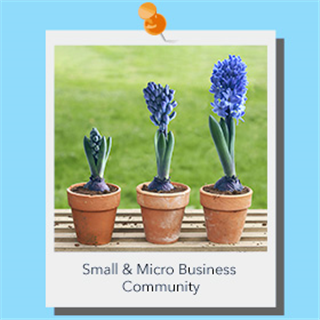 Finance options for small businesses
